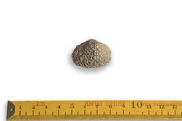 F 01341
<br/>
<br/>
<em></em>